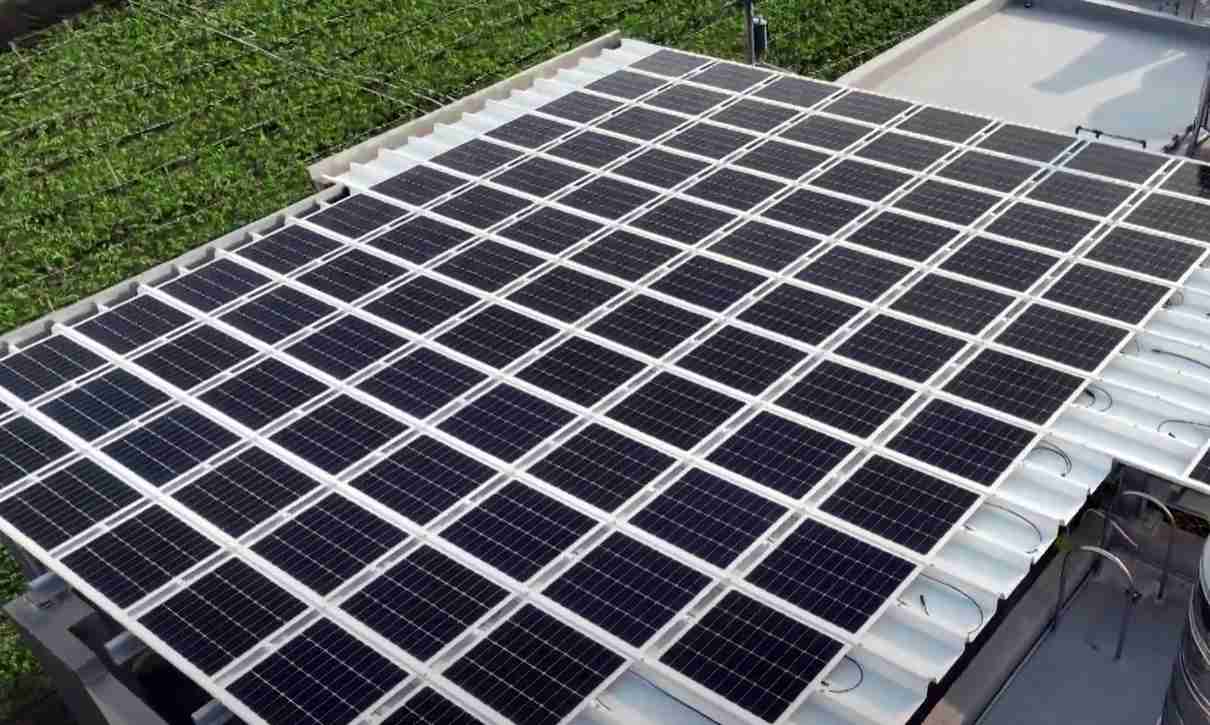 开云电子SunSteel光电浪板升级双玻结构，，，，以提升机械负载强度及气候耐候度，，，，可广泛运用于多元场域